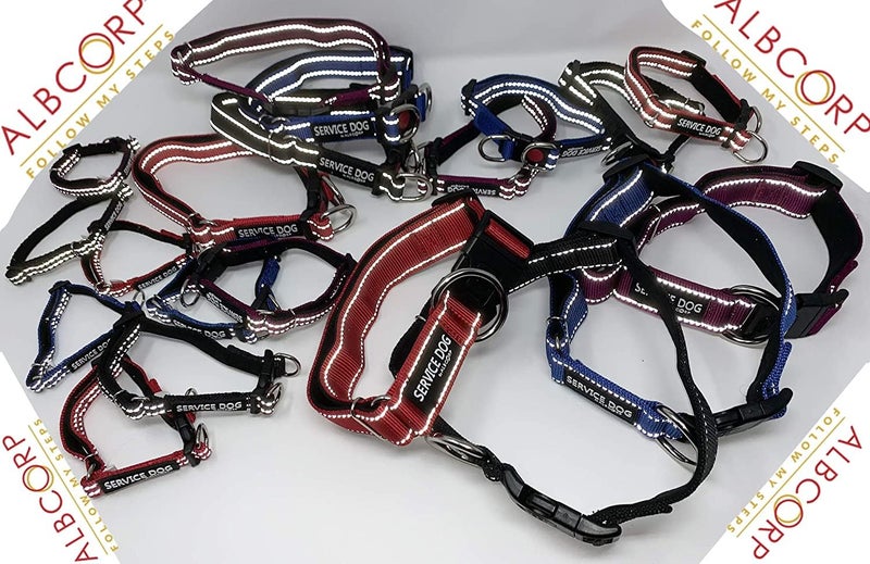 Albcorp Reflective Service Dog Collar â€“ Sizes XS to XL (8.6â€“28.7 Inches), Service Dog Rubber Patch, Neoprene-Padded Comfort & High-Visibility Gear for Dedicated Handlers, Small,Red - Image 4